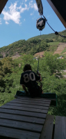 IMG_20260703_143417.jpg