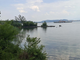 20260714_145609.jpg